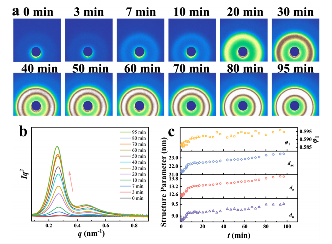 SAXS在高分子领域的表现(图2)